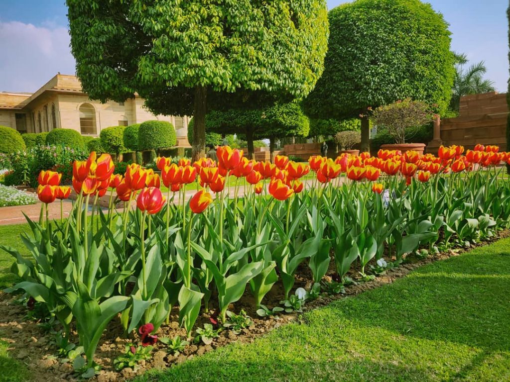 Mughal Garden Amrit Udyan Delhi - Kahajaun