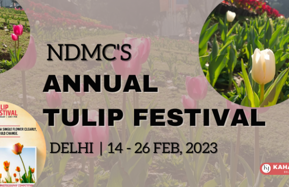 NDMC’s Annual Tulip Festival 2023 Brings a Burst of Spring to New Delhi