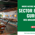 Gurgaon Sector 85 Social - KahaJaun