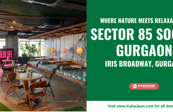 Sector 85 SOCIAL: Where Nature Meets Relaxation in Gurgaon