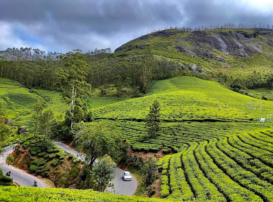 Munnar - Best Hill Stations to visit in October in India